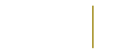 Party Pro